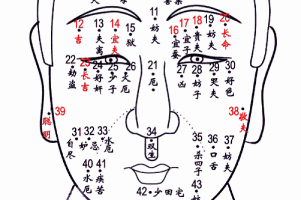 男命子女星解析：如何看男命中的子女运势与生活影响？