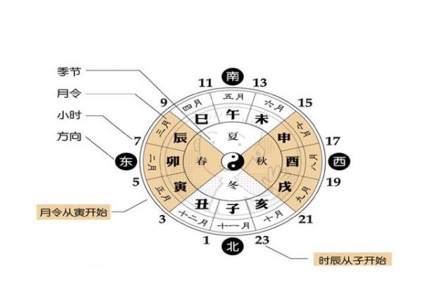 探索命理转运师：揭开命理学的神秘面纱与职业魅力