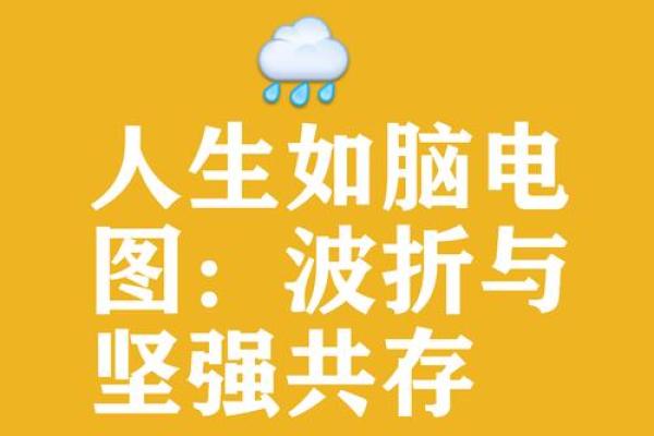 命里起伏的意义与人生的精彩旅程