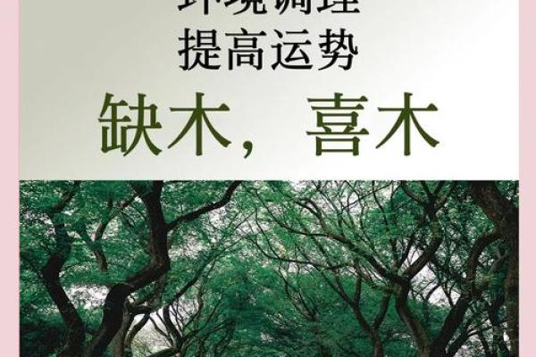 命里缺木者最怕的颜色揭秘：如何利用色彩提升运势