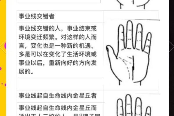 通过手相看命运：细数掌纹背后的精彩人生轨迹