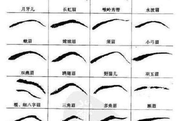 男人眉毛的形态与命运：揭秘眉毛背后的秘密