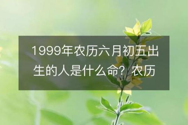 农历三年初六出生的人：命理解析与人生启示