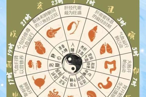 女命44：命理星宿与人生运势的奥秘探讨