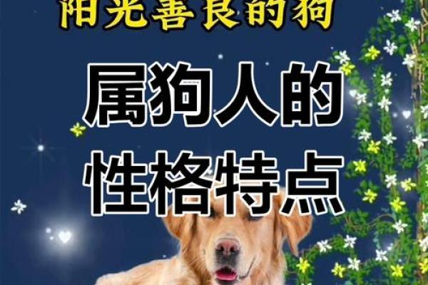 九月男孩属狗：你的命运与性格深度解析