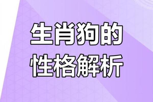 九月男孩属狗：你的命运与性格深度解析