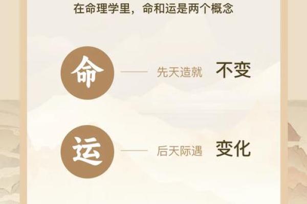 探索木命的忌神：属性与人生之道的奥秘
