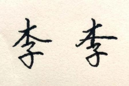 探寻李姓之命：揭秘名字背后的五行与性格特点