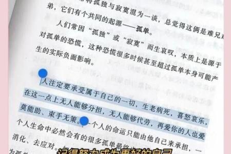 命里没有老婆是什么意思?解读独身人生的哲学与魅力