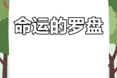男孩丑时牛进食,命运的转折与成长之路