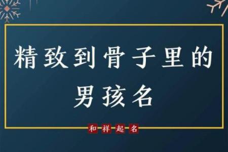 揭秘“王虎”这个名字背后的独特含义与故事
