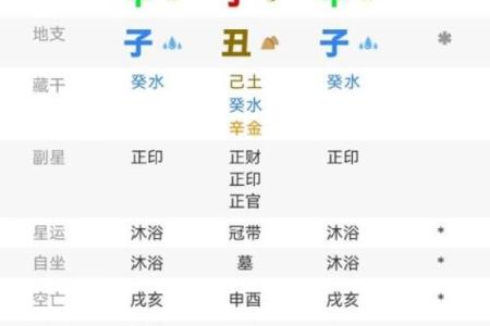 揭秘明星命理：八字与运势的神秘关系