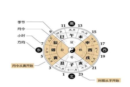 探索命理转运师:揭开命理学的神秘面纱与职业魅力