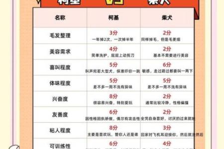 命里缺土的人,适合养哪几种狗?让我们一探究竟!