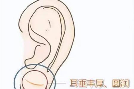 耳朵的秘密：女人耳垂有肉的命运解析与生活启示