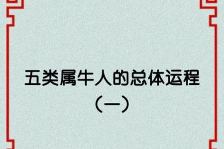 九七年属牛的命运解析：寻觅幸福与成功之路
