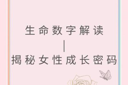 女人的上等命格:揭示独特魅力与人生成功的秘密