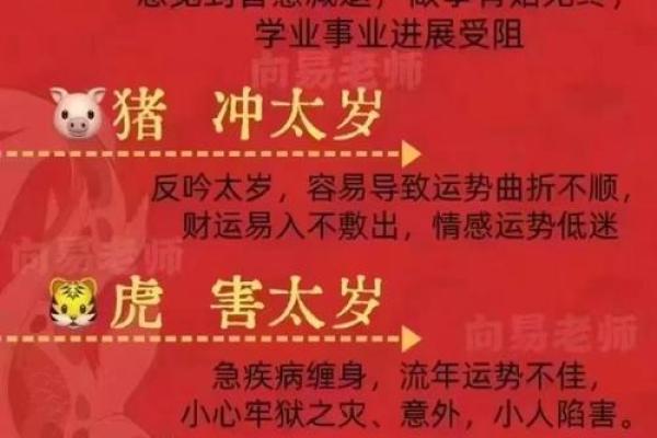 2024年虎宝宝命理解析：适合的五行与待注意事项