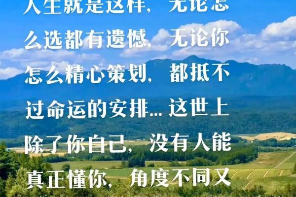 《没那种命》：命运与追求的无奈反思