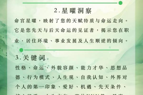 紫薇命格解析：揭示命理学中的命运密码与人生轨迹
