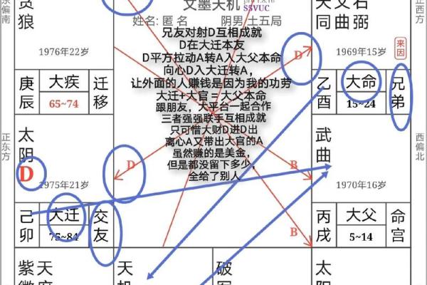 紫薇命格解析：揭示命理学中的命运密码与人生轨迹