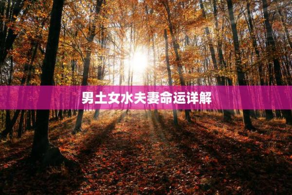 女金命与水命的完美结合：化解矛盾，促进幸福的秘钥