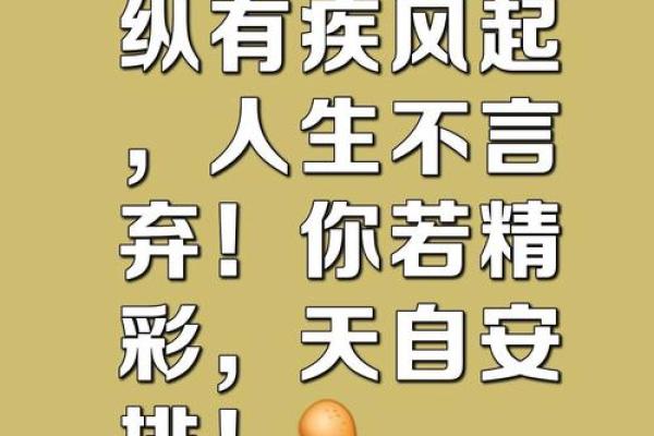 无子女命，人生的另一种精彩与选择
