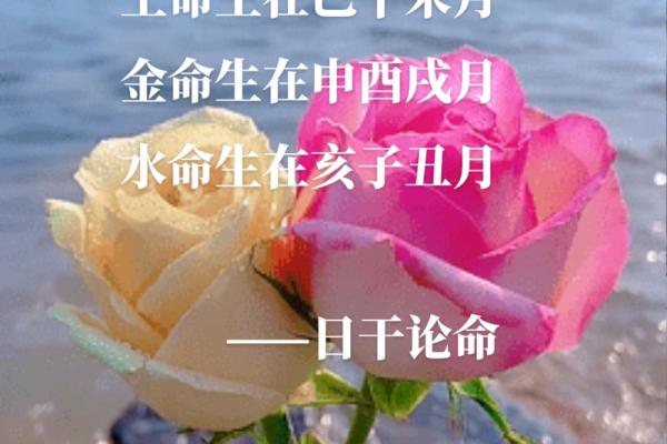 木命与水命之色彩选择：让生活更添生机与活力
