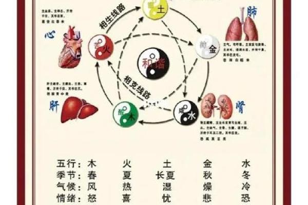 命理五行解析：你的命运与五行的深刻联系