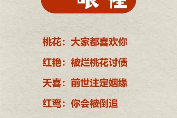 女命财临桃花：揭示情感与财富的神秘联系
