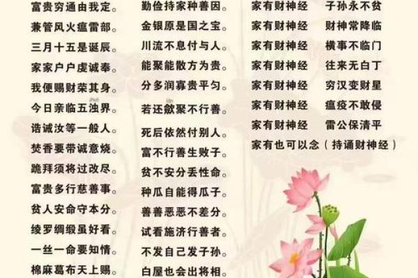 解读命理数字52的深层含义与人生启示