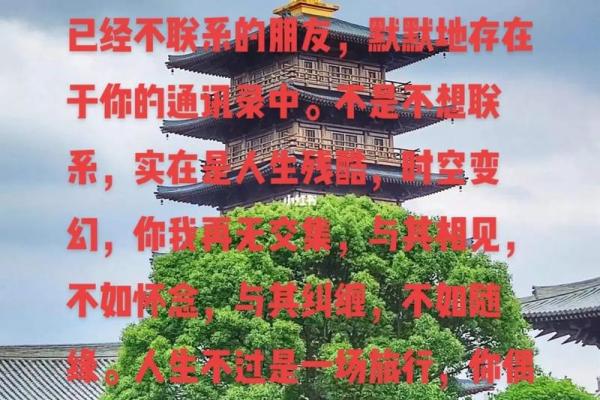 命里犯桃花的歌：人生缘与情的旋律探讨