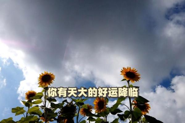 真是命好啊，人生中的好运与机遇都藏在这！