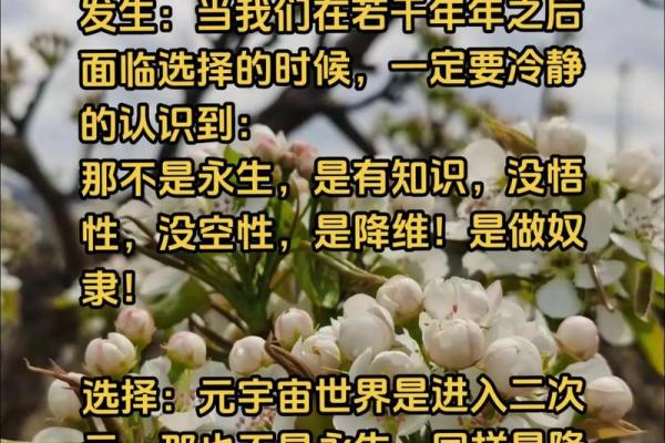 揭开命学密码：落入红尘的深意与人生启示