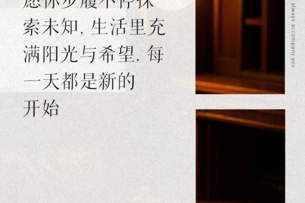女命最好的命格：探寻命理中的理想人生轨迹
