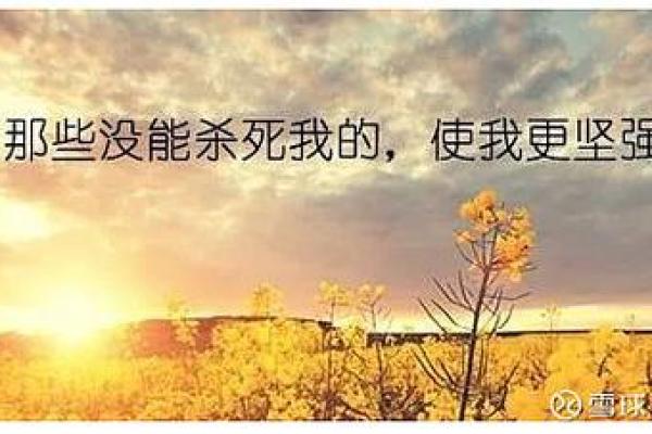命里当不了状元，命运与努力的博弈与思考