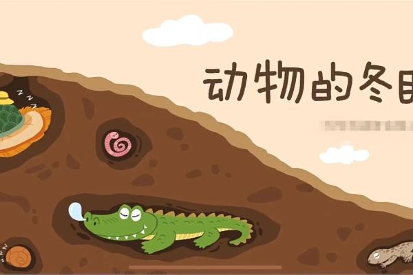 命气过旺指的动物解析：探索生命的奥秘与启示