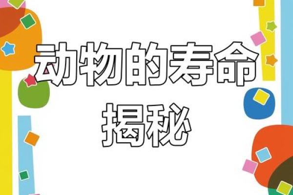 命气过旺指的动物解析：探索生命的奥秘与启示