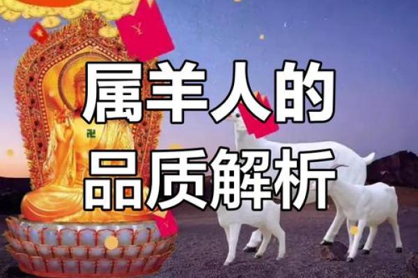 揭秘1991年属羊人的命理与性格特征