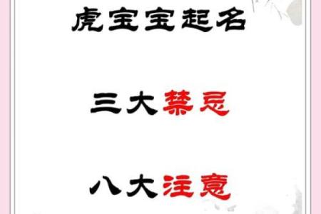 2024年虎宝宝命理解析：适合的五行与待注意事项