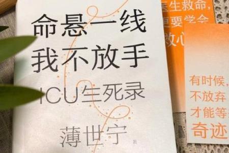 《没那种命》：命运与追求的无奈反思