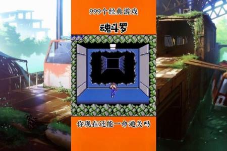 探索《看我一命通关》的深层含义与游戏魅力