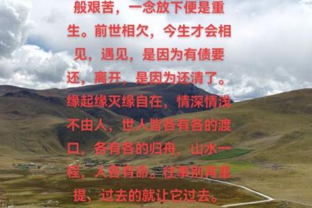 命里犯桃花的歌:人生缘与情的旋律探讨