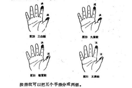 男人手指6个斗是什么命?探索手相背后的秘密!