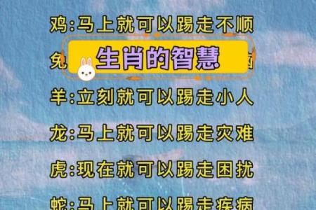 命理深奥:探寻生肖背后的真正含义与智慧