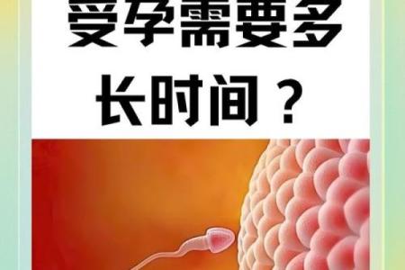 命理解读:水火相生的命格究竟蕴含怎样的智慧和奥秘?