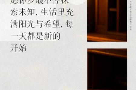 女命最好的命格:探寻命理中的理想人生轨迹
