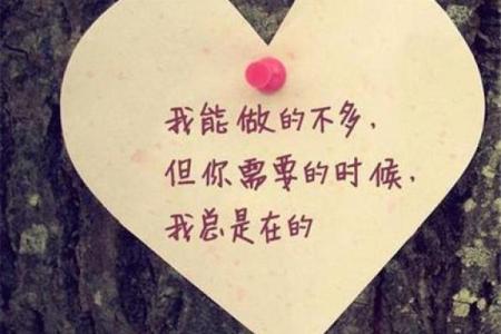 女命月柱带禄神的深层诠释与人生启示