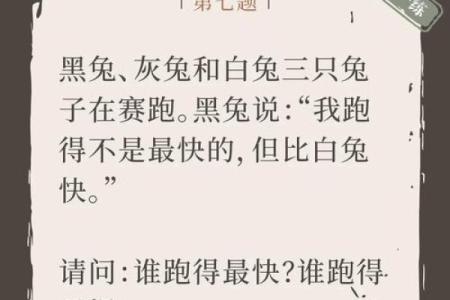 命里三个兔子:探秘兔的象征意义与人生启示