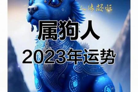 2024属狗人的五行命理解析与运势指引
